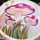 Batik Hoop Painting Kit - Amanita